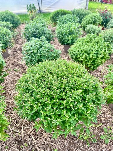 00243fe42f9d45d8bd4fdc86103df1030cad2da4