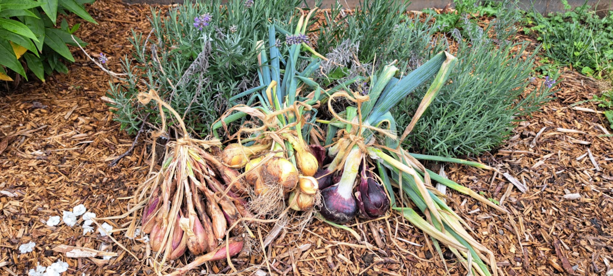 1c0f61ec-f97a-48a1-9f33-1351c72b6eed