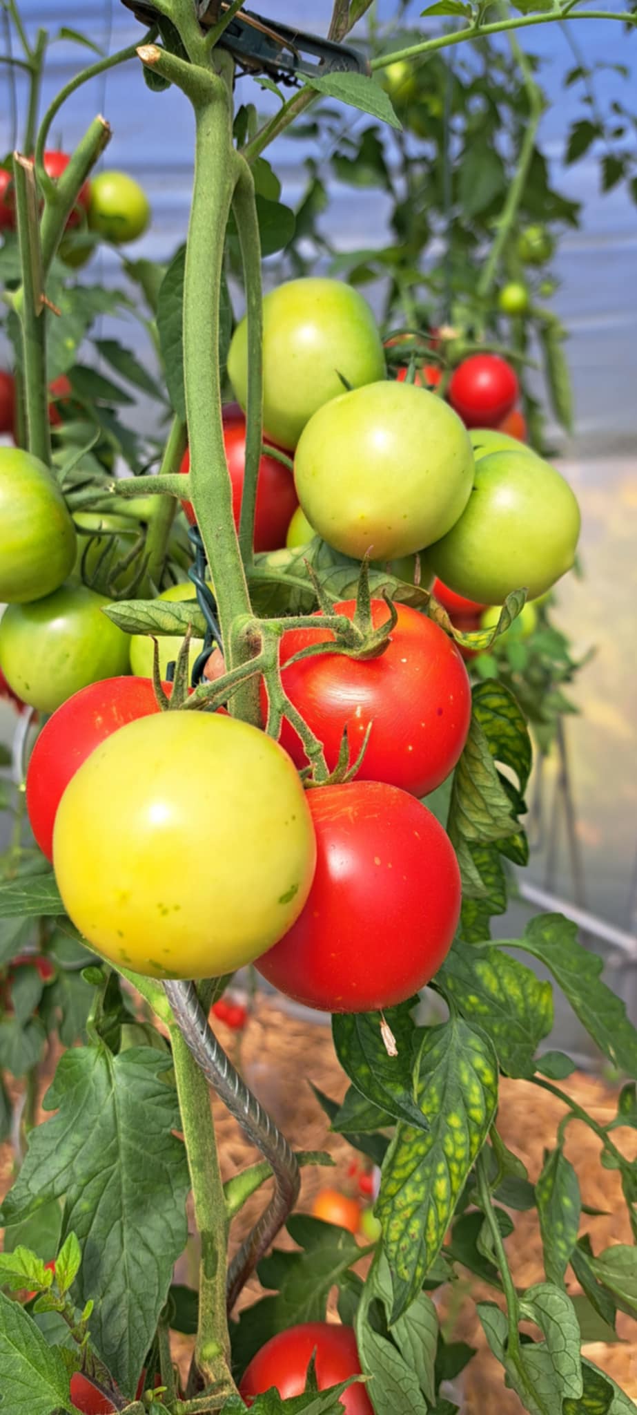 2730b436-4f6c-4ac3-976f-995acb74bef2