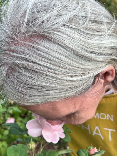 361eccdc330dfa5c0a8ee55c26e54a28a63537ad