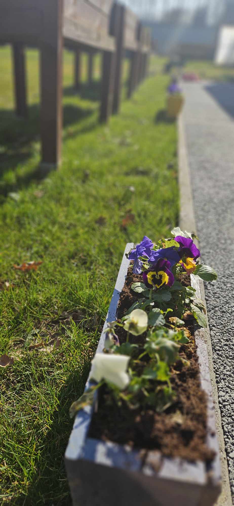 482088016_28661735390138862_7068663302042182809_n