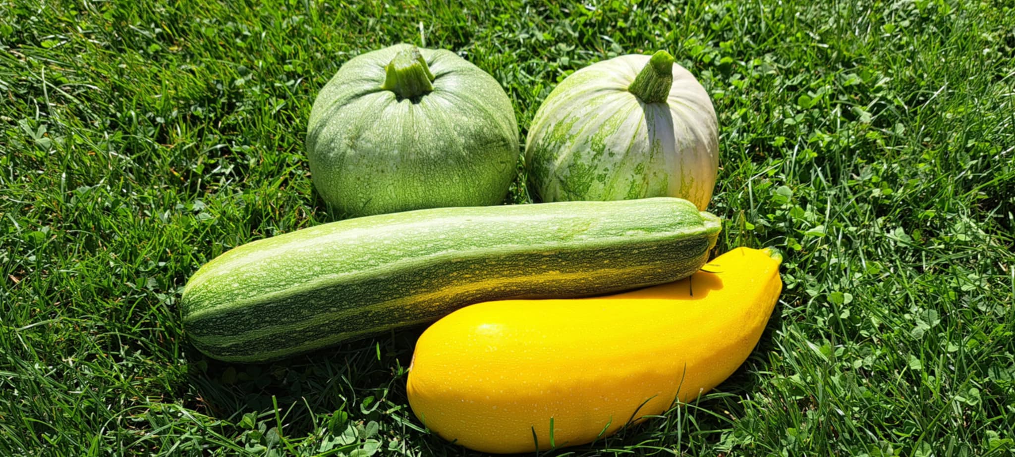 6d65ef41-4324-4844-978a-3caa6349afbd