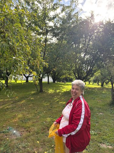 e37f1d9fe1acbd0dcda2c0f4eeedcdc4e3e4b25b