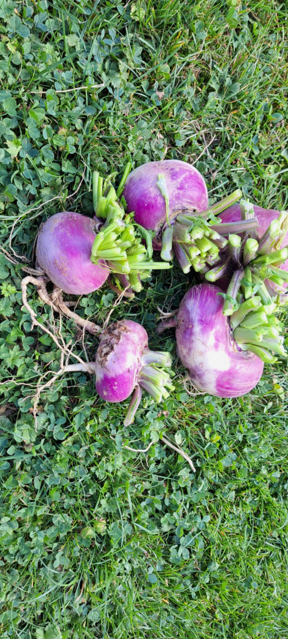 ec5846c3-49a8-452d-8f43-b7b823ac3f3e