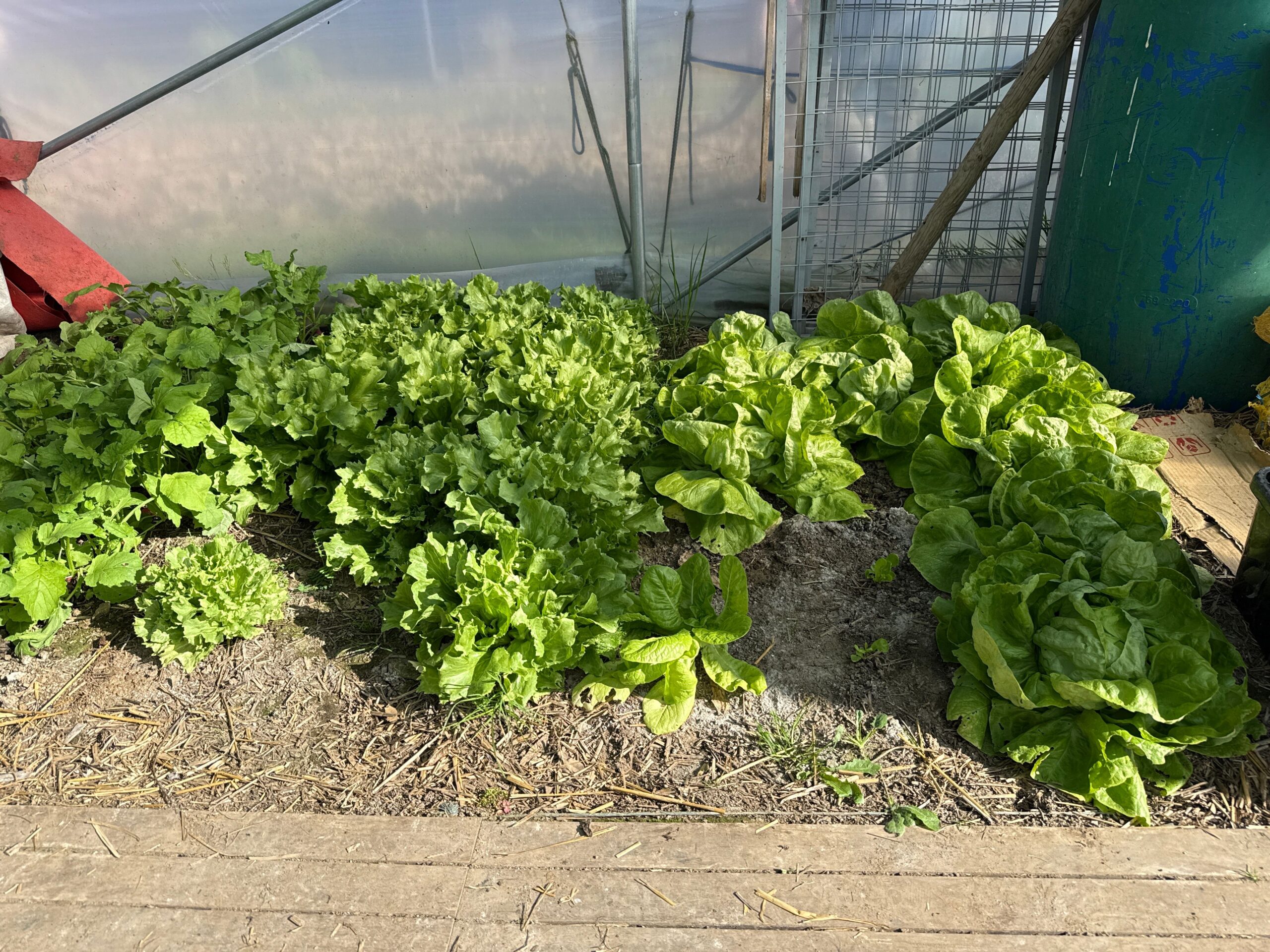 a5f88ebf8acb268f40f28df5befb9f216348d65d